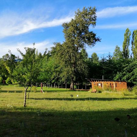 Villa Brisas Del Llaima à Melipeuco Extérieur photo