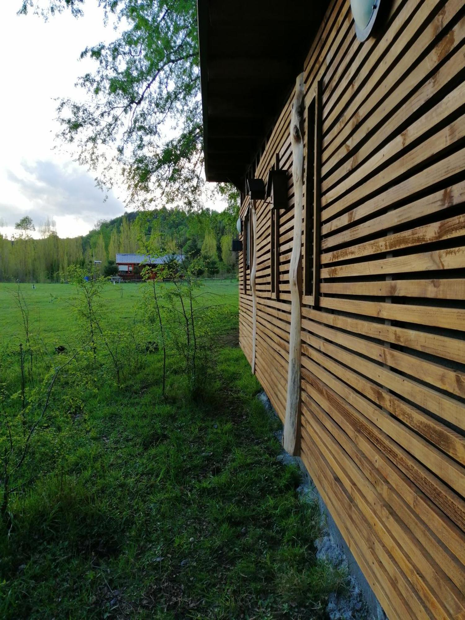 Villa Brisas Del Llaima à Melipeuco Extérieur photo